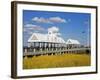 Waterfront Park Pier, Charleston, South Carolina, United States of America, North America-Richard Cummins-Framed Photographic Print