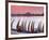 Waterfront Scene at Huanchaco in Peru, Locals Relax Next to Totora Boats Stacked Along the Beach-Andrew Watson-Framed Photographic Print