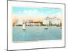 Waterfront, St. Petersburg, Florida-null-Mounted Art Print