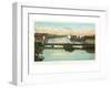 Waterfront, Tampa, Florida-null-Framed Art Print