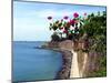 Waterfront Walkway, Fort San Felipe Del Morro, San Juan, Puerto Rico, USA, Caribbean-Miva Stock-Mounted Premium Photographic Print