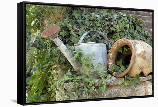 Watering Can And Broken Pot-Tony Craddock-Framed Stretched Canvas