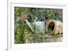 Watering Can And Broken Pot-Tony Craddock-Framed Photographic Print