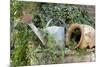 Watering Can And Broken Pot-Tony Craddock-Mounted Photographic Print