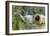 Watering Can And Broken Pot-Tony Craddock-Framed Photographic Print