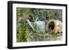 Watering Can And Broken Pot-Tony Craddock-Framed Photographic Print