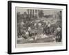 Watering Cavalry at the Manoeuvres, an Unexpected Bath-Walter Stanley Paget-Framed Giclee Print