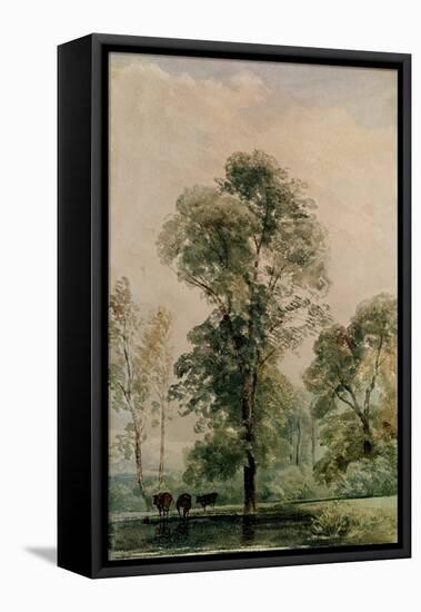 Watering Place-Peter De Wint-Framed Stretched Canvas