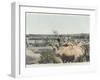 Watering the Camels at the Source in the Desert-null-Framed Photographic Print