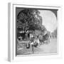 Watering the Streets of Rangoon, Burma, 1908-null-Framed Photographic Print