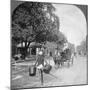 Watering the Streets of Rangoon, Burma, 1908-null-Mounted Photographic Print
