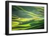 Watering-Marcin Sobas-Framed Photographic Print