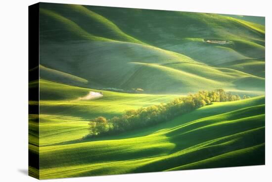 Watering-Marcin Sobas-Stretched Canvas