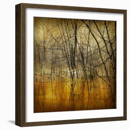 Waterlands-Irene Suchocki-Framed Giclee Print