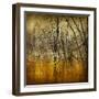 Waterlands-Irene Suchocki-Framed Giclee Print