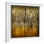 Waterlands-Irene Suchocki-Framed Giclee Print