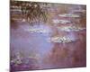 Waterlilies, 1903-Claude Monet-Mounted Art Print