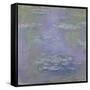 Waterlilies, 1903-Claude Monet-Framed Stretched Canvas