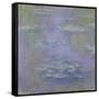 Waterlilies, 1903-Claude Monet-Framed Stretched Canvas