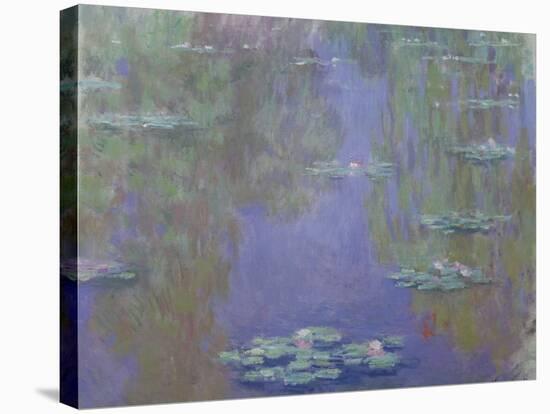 Waterlilies, 1903-Claude Monet-Stretched Canvas