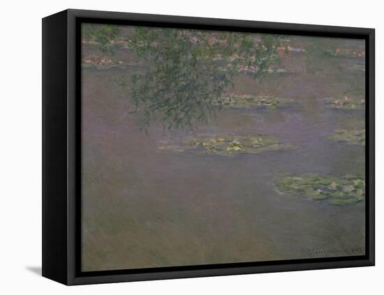 Waterlilies, 1903-Claude Monet-Framed Stretched Canvas