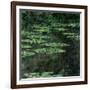 Waterlilies, 1904-Claude Monet-Framed Giclee Print