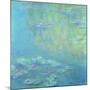 Waterlilies, 1906 (Oil on Canvas)-Claude Monet-Mounted Giclee Print