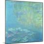 Waterlilies, 1906 (Oil on Canvas)-Claude Monet-Mounted Giclee Print