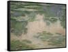 Waterlilies, 1906-Claude Monet-Framed Stretched Canvas