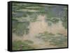 Waterlilies, 1906-Claude Monet-Framed Stretched Canvas