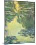 Waterlilies, 1907-Claude Monet-Mounted Giclee Print