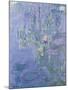 Waterlilies, 1907-Claude Monet-Mounted Giclee Print