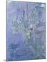 Waterlilies, 1907-Claude Monet-Mounted Giclee Print