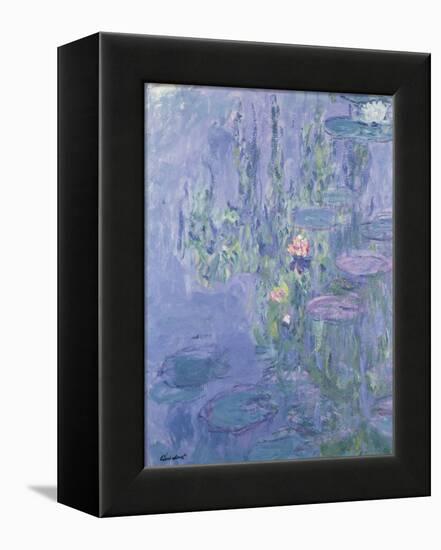 Waterlilies, 1907-Claude Monet-Framed Stretched Canvas