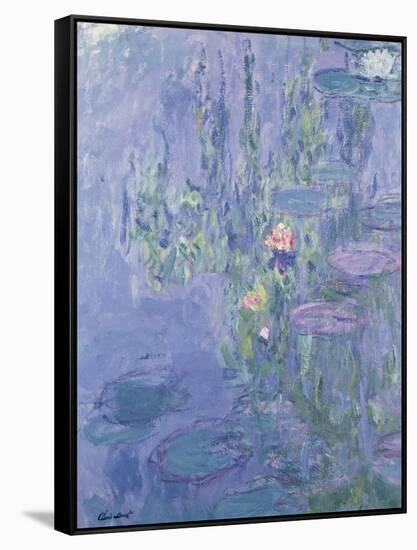 Waterlilies, 1907-Claude Monet-Framed Stretched Canvas