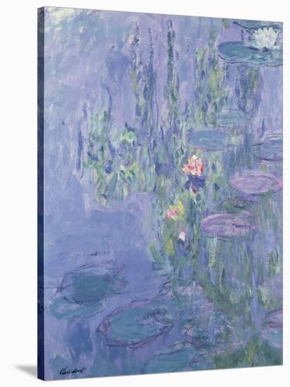 Waterlilies, 1907-Claude Monet-Stretched Canvas