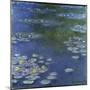 Waterlilies, 1908-Claude Monet-Mounted Giclee Print