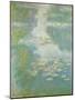 Waterlilies, 1908-Claude Monet-Mounted Giclee Print