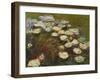 Waterlilies, 1914-17 (Detail)-Claude Monet-Framed Giclee Print