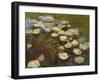 Waterlilies, 1914-17 (Detail)-Claude Monet-Framed Giclee Print