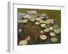 Waterlilies, 1914-17 (Detail)-Claude Monet-Framed Giclee Print