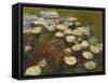 Waterlilies, 1914-17 (Detail)-Claude Monet-Framed Stretched Canvas