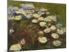 Waterlilies, 1914-17 (Detail)-Claude Monet-Mounted Giclee Print