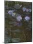 Waterlilies, 1914-17 (Detail)-Claude Monet-Mounted Premium Giclee Print