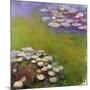 Waterlilies, 1914-17-Claude Monet-Mounted Giclee Print