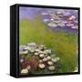 Waterlilies, 1914-17-Claude Monet-Framed Stretched Canvas