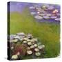 Waterlilies, 1914-17-Claude Monet-Stretched Canvas