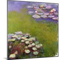 Waterlilies, 1914-17-Claude Monet-Mounted Giclee Print