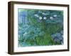 Waterlilies, 1914-17-Claude Monet-Framed Giclee Print