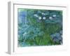 Waterlilies, 1914-17-Claude Monet-Framed Giclee Print